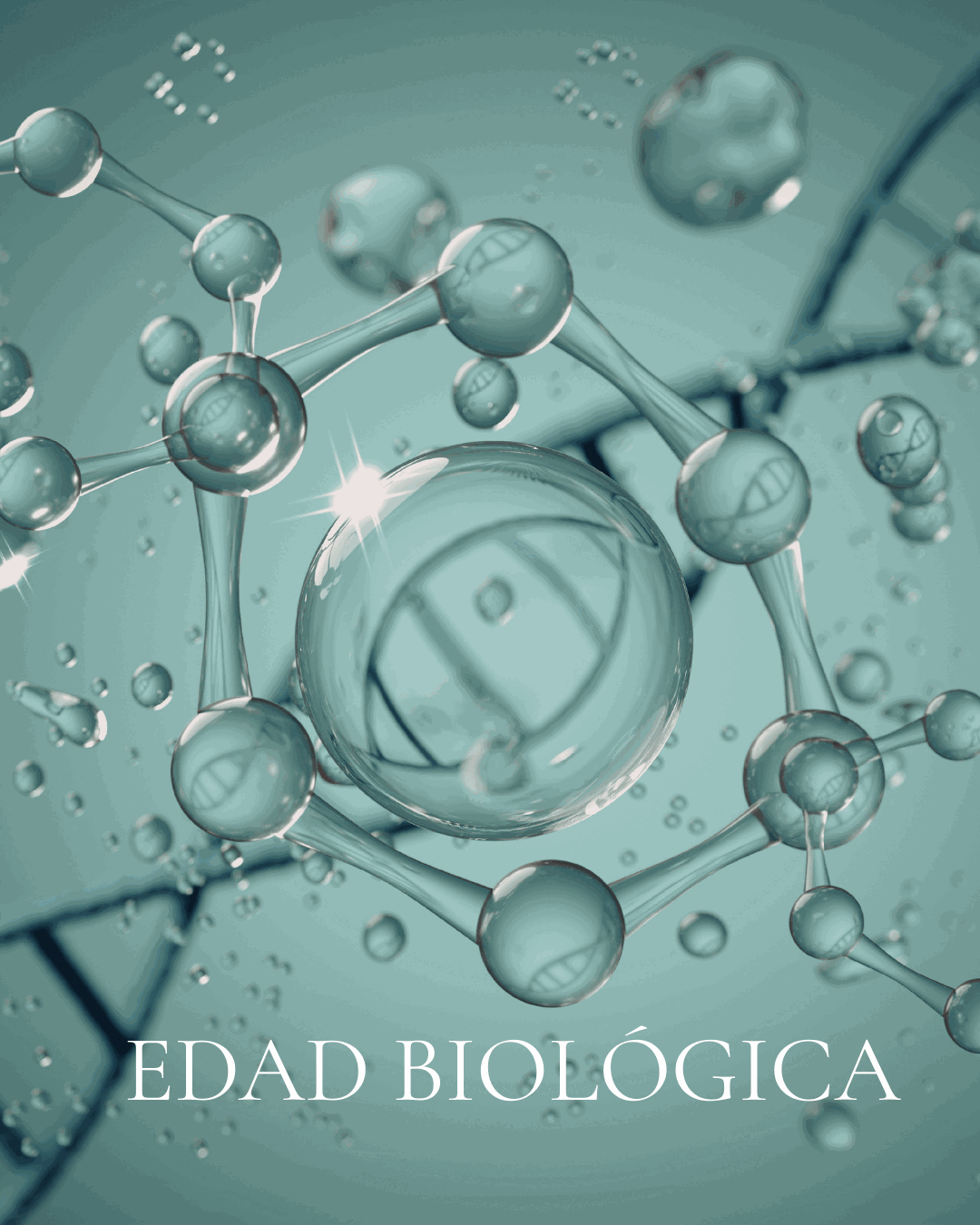 Seguimiento nutricional integrativo